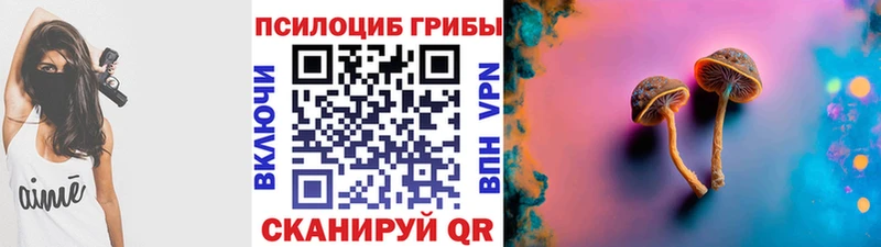 Псилоцибиновые грибы прущие грибы  Кашин 